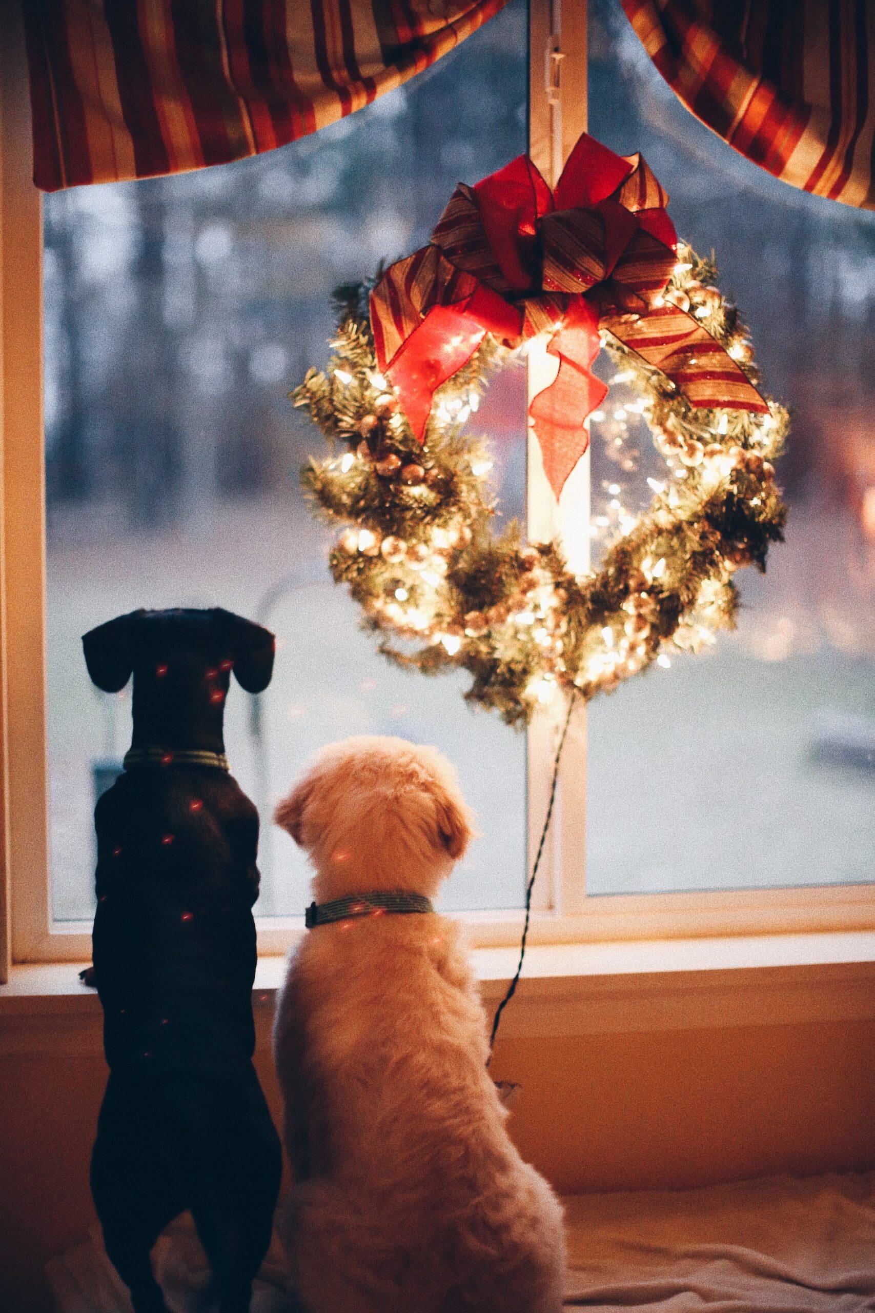 Christmas Celebration